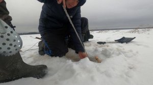 Ловля щуки на жерлицы поставушки зимой