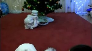 Танец Три Белых Коня.mkv