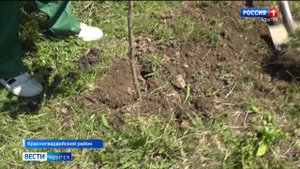 Адыгея традиционно поддержала всероссийскую акцию "Сад памяти",которая проводится в честь дня Победы