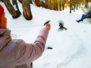 Терренкур Белокуриха