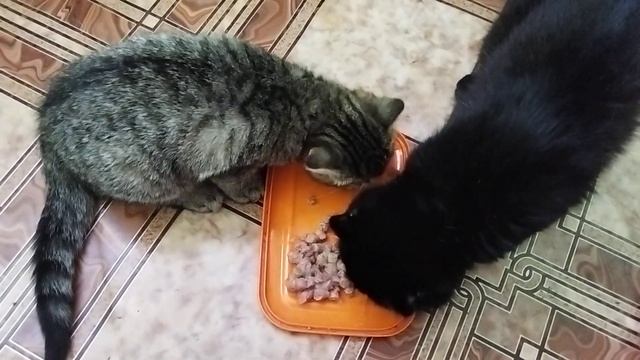 Подари мне красоту, я поверю в чудо, с 1 апреля! смотреть онлайн