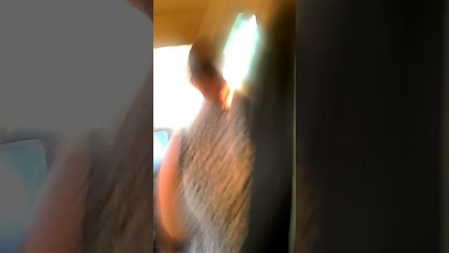 Мы едем на пруд.? смотреть онлайн