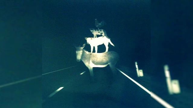 СПБ - Бомжом (Ramones Blitzkrieg Bop cover) смотреть онлайн