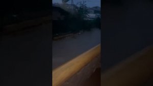 Наводнение в Приморском крае, п. Андреевка. Август 2023