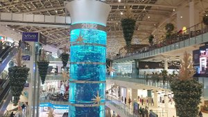 Прогулка по ТЦ "Авиапарк" (часть 1) (23.12.22)