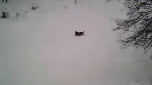 Как я потерял ботинок
