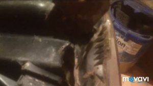 Ремонт фар Опель Астра H