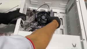 Build Ryzen 5 5500 And A520M Asus Prime & RTX 3060 8GB