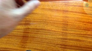 ?❄ Как вырастить клён из семян в домашних условиях Часть 1 Стратификация