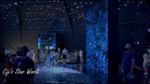 DUBAI EXPO 2020, RUSSIA PAVILION/Ciji's Star World смотреть онлайн