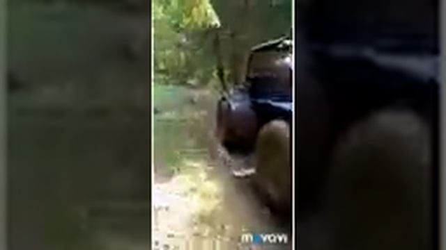 Трое на каракате в тайге,обход лесных простор , болотоход ,каракат в деле,бездорожье ,дороги нет, смотреть онлайн