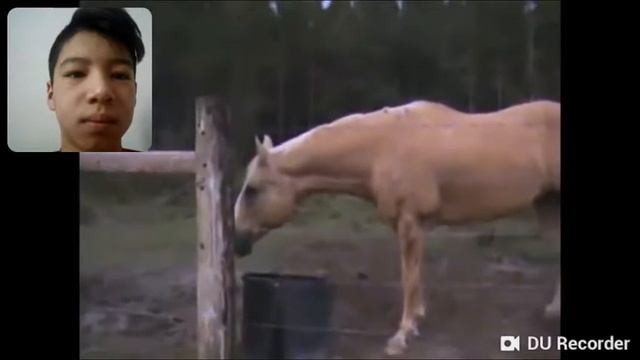 Мен енді челенджде түсірем(+веб камера) смотреть онлайн