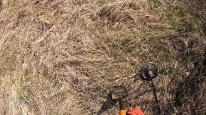 Что скрывает змеиный остров? Находки есть!