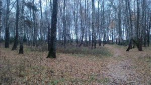 Барыбино и окрестности