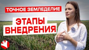 Точное земледелие | Этапы внедрения