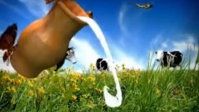 молочная продукция Буренка.avi смотреть онлайн