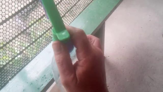 опрыскивание винограда во время цветения
