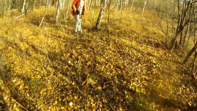 КОП НА ПОЛЕ.ДОБИВАЕМ МЕСТО.ПОИСК С МД4030