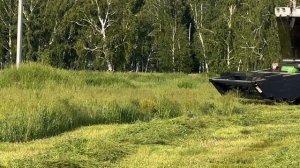 МЕЩЕРА_Е403_СЕЗОН_2024