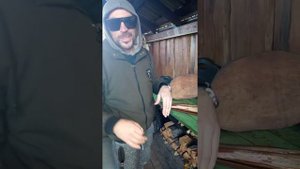 Особенности копчения угря