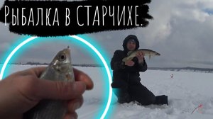 Подсказали КАК ПОЙМАТЬ ЩУКУ. Рыбалка на жерлицы и мормышки в СТАРЧИХЕ.