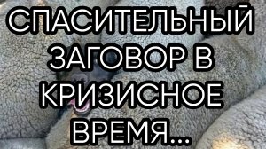 СПАСИТЕЛЬНЫЙ ЗАГОВОР В КРИЗИСНОЕ ВРЕМЯ...