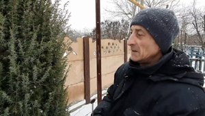 Можжевельник крымский