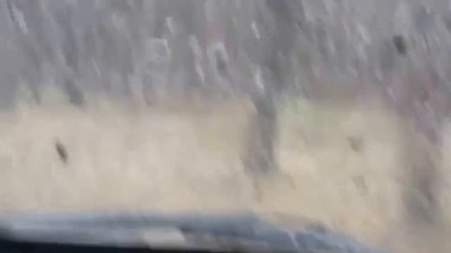 Придурки на Пятерке Форсаж в лесу смотреть онлайн