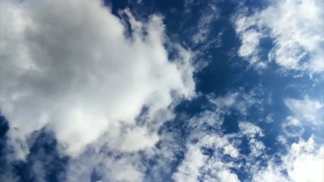 Медитация сексуальности