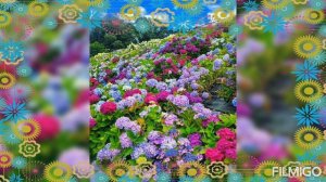 Цветущий мир - Читает Автор