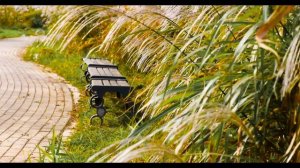 Имя Сергей /Что означает имя /Имя и характер /Тайна имени /Имя и судьба /Толкование имени