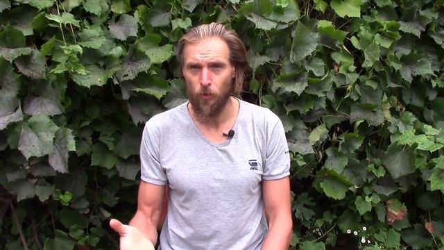 В чем смысл жизни - как познать смысл своей жизни - делюсь на своем примере. смотреть онлайн