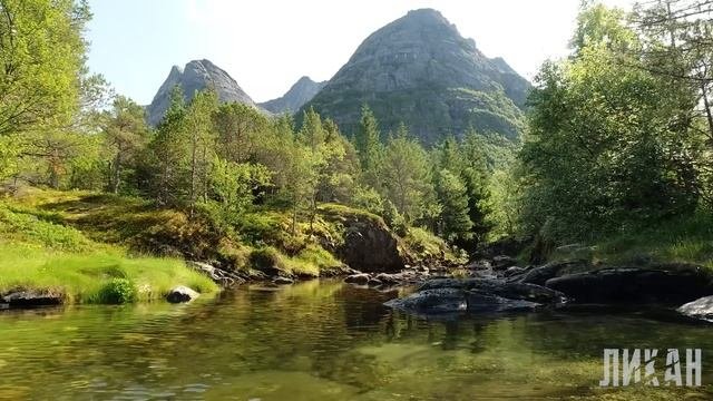 В эту деревню пришло нечто жуткое. Страшные истории на ночь. Страшилки на ночь. Ночные истории