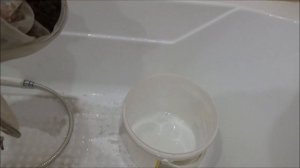 Ловля дафнии. Корм для рыбок.