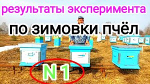 Плёнка или холстик, для зимовки пчёл на улице? Пчеловодство!