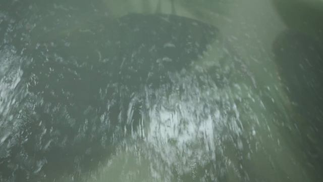 Дизайн стоматологической клиники DF Clinic от студии ART HOUSE смотреть онлайн