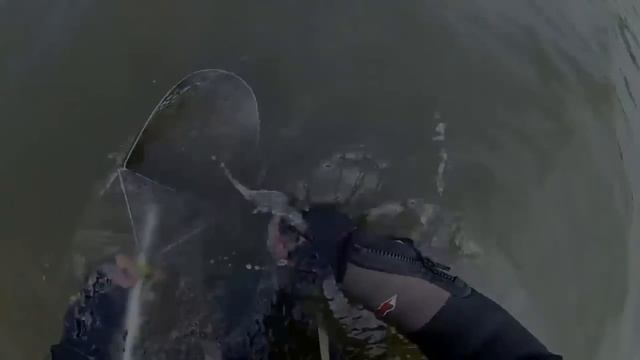 ЗОЛОТЫЕ КОЛЬЦА так и залетали в скуп! Пляжный поиск с подводным металлоискателем Minelab Excalibur