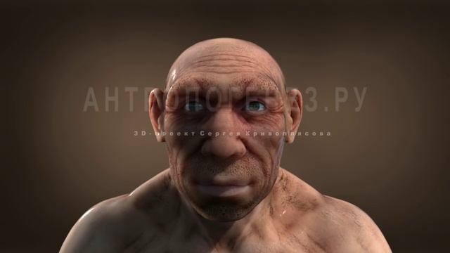 Неандерталец. 3D-реконструкция по черепу