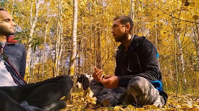 Состояния сознания. Творение реальности. Сущности.