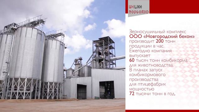 АДЕПТ Новгородская область