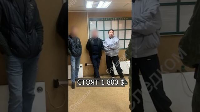 ТАПОЧКИ Блиновской стоят 1800 долларов