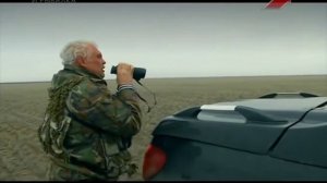 Охота на гуся в  Волгоградской области!