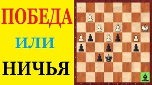 Шахматы. Эндшпиль с лишним слоном выигран? Школа шахмат d4-d5.