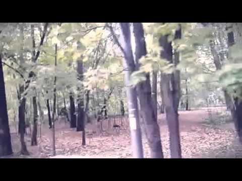 осенний трамвай   (Created with @Magisto) смотреть онлайн