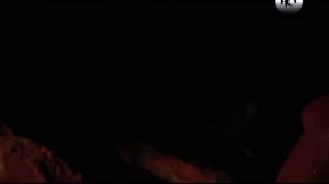 Каникулы на выживание