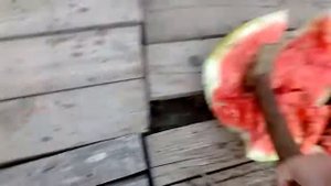 Разбил Арбуз