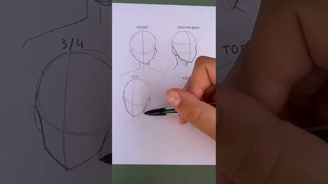 How to draw different angled head|How to draw head|Head tutorial for beginners