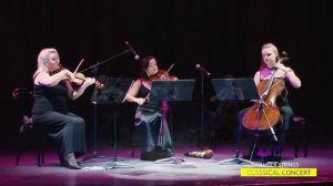 Amber Strings in Classical Concert