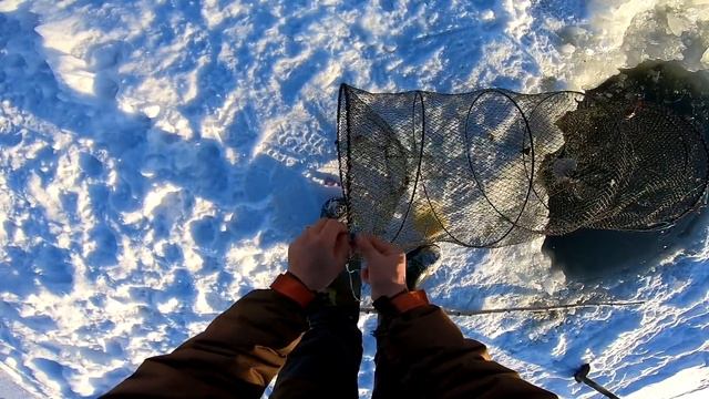 РЫБАЛКА НА ВЕРШУ. ЗИМНЯЯ РЫБАЛКА В СИБИРИ. ПРОВЕРКА МОРДУШЕК №1 смотреть онлайн