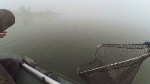 Ловим на кружки щуку на мелководье